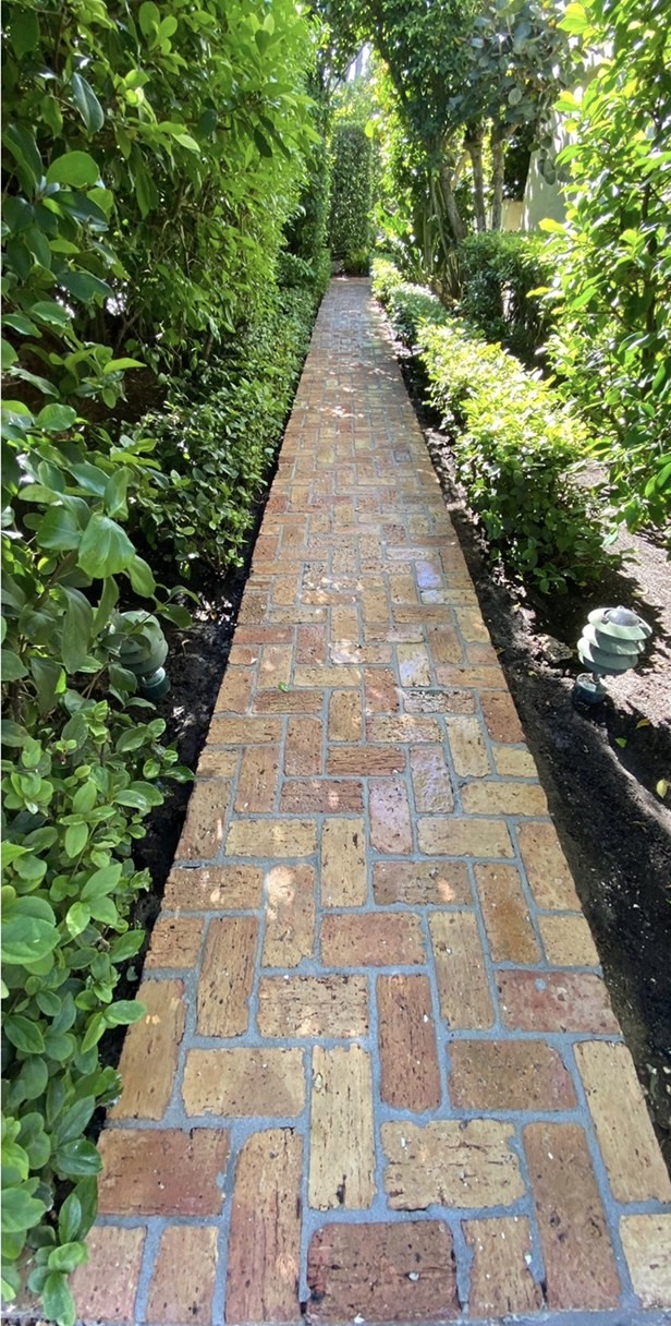 Brick paver walkway through mature landscaping
