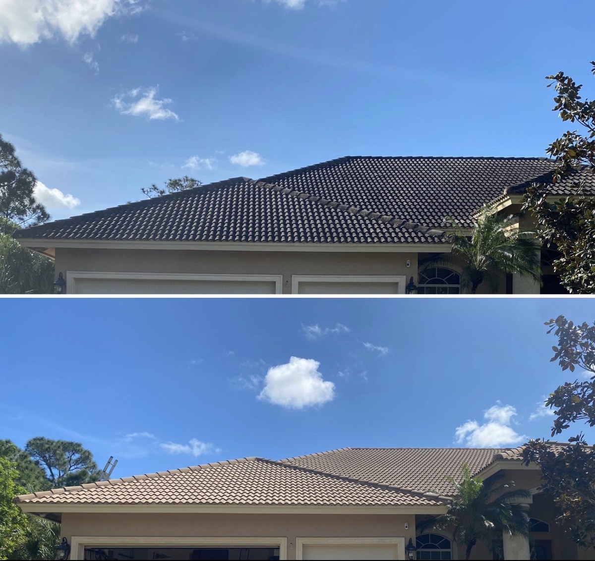 Roof Soft Washing
